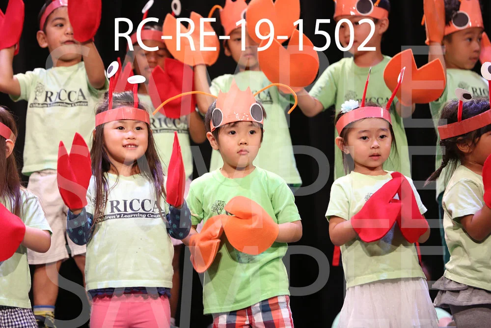 RC-RE-19-1502.jpg