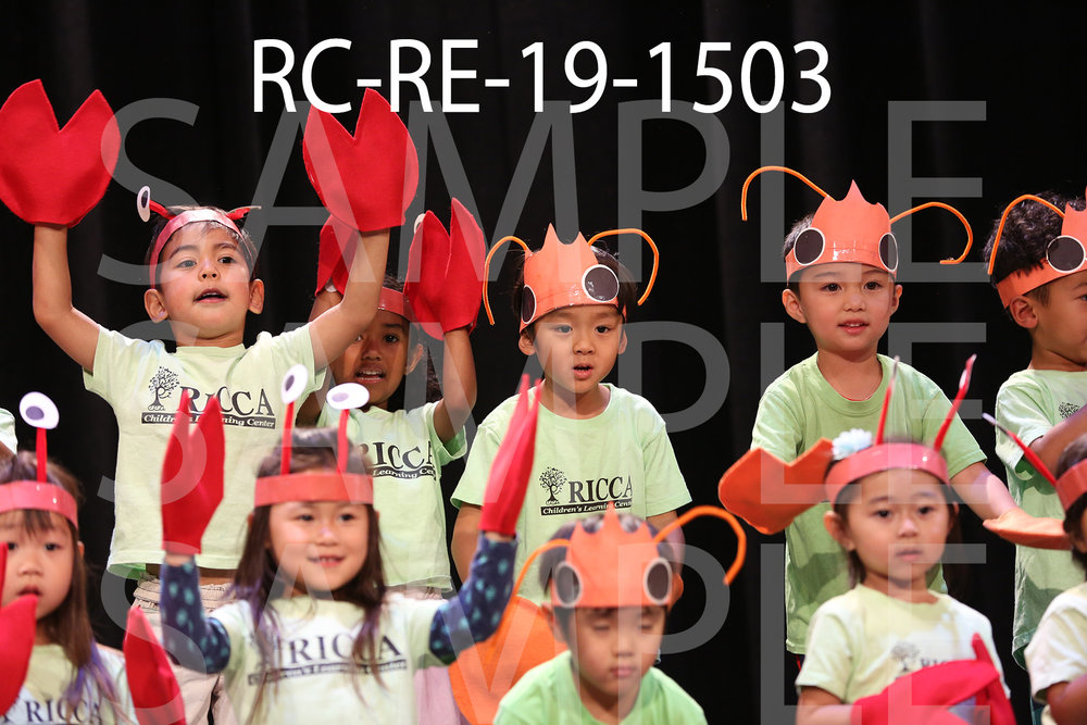 RC-RE-19-1503.jpg