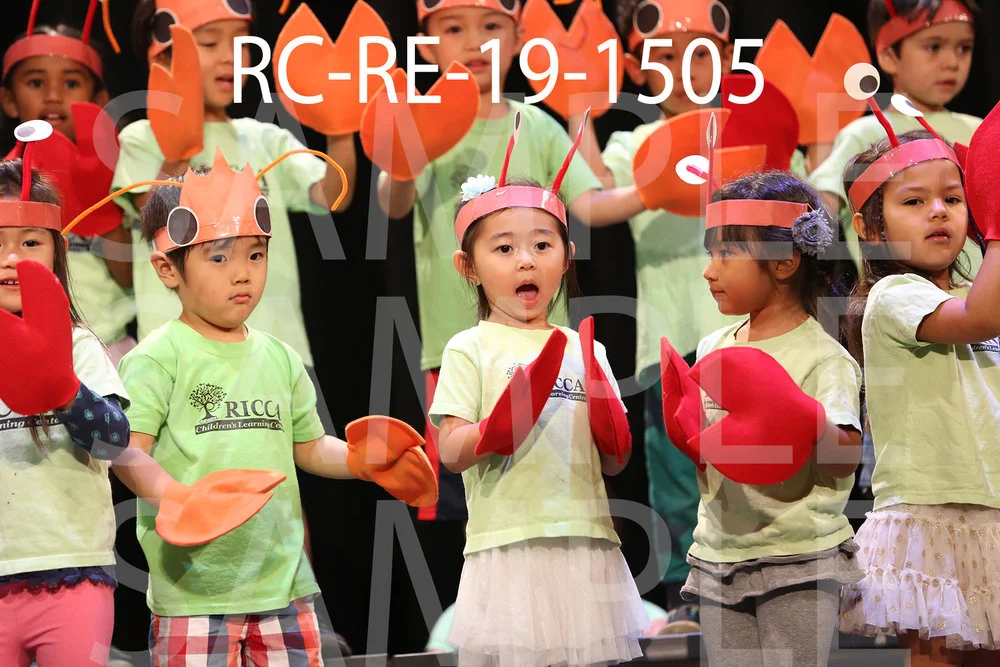 RC-RE-19-1505.jpg
