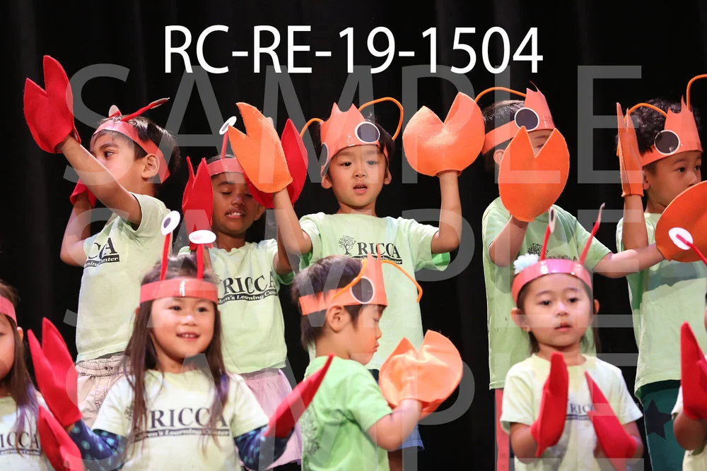 RC-RE-19-1504.jpg