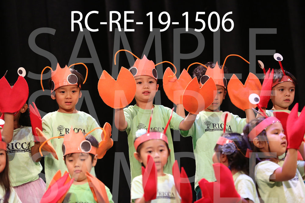 RC-RE-19-1506.jpg