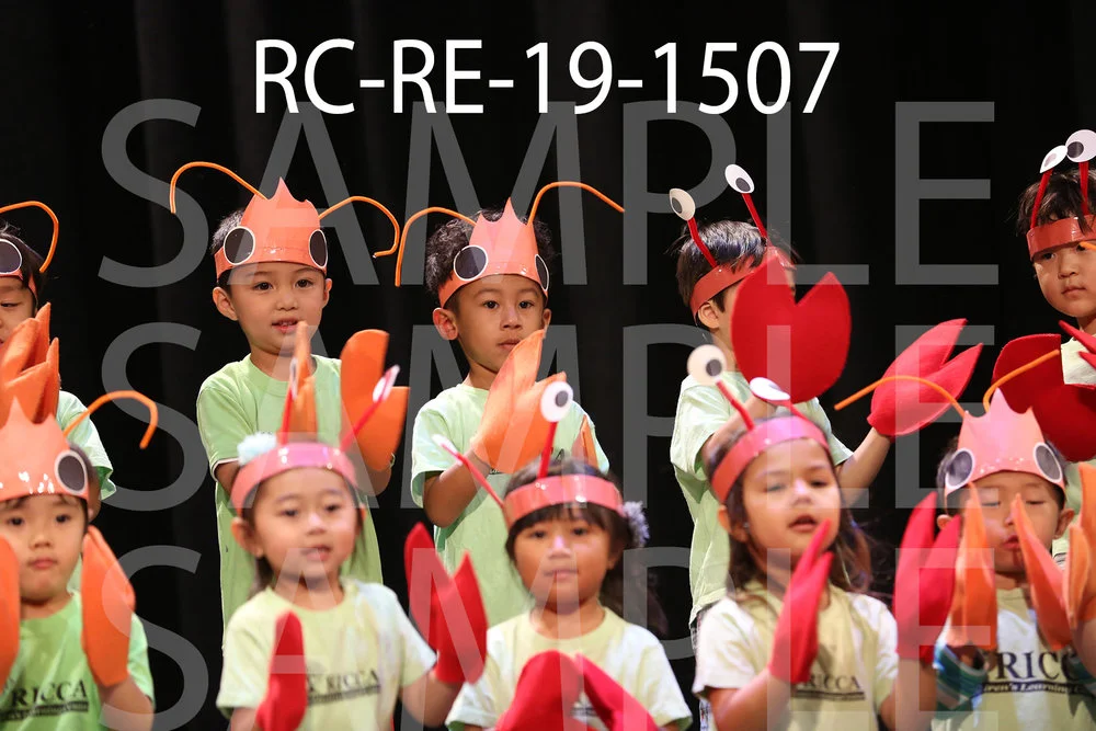 RC-RE-19-1507.jpg