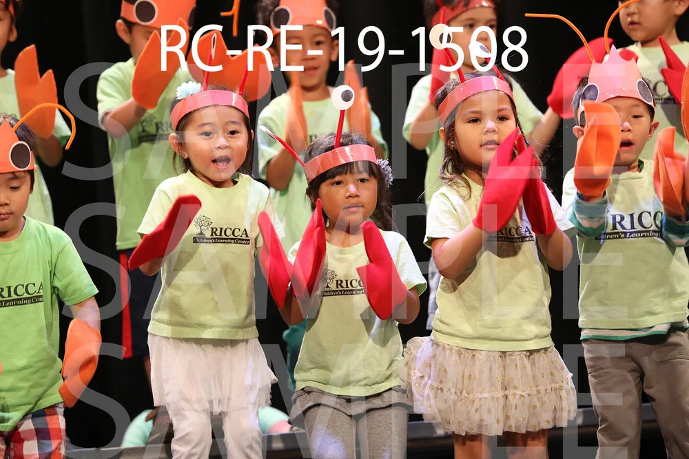 RC-RE-19-1508.jpg