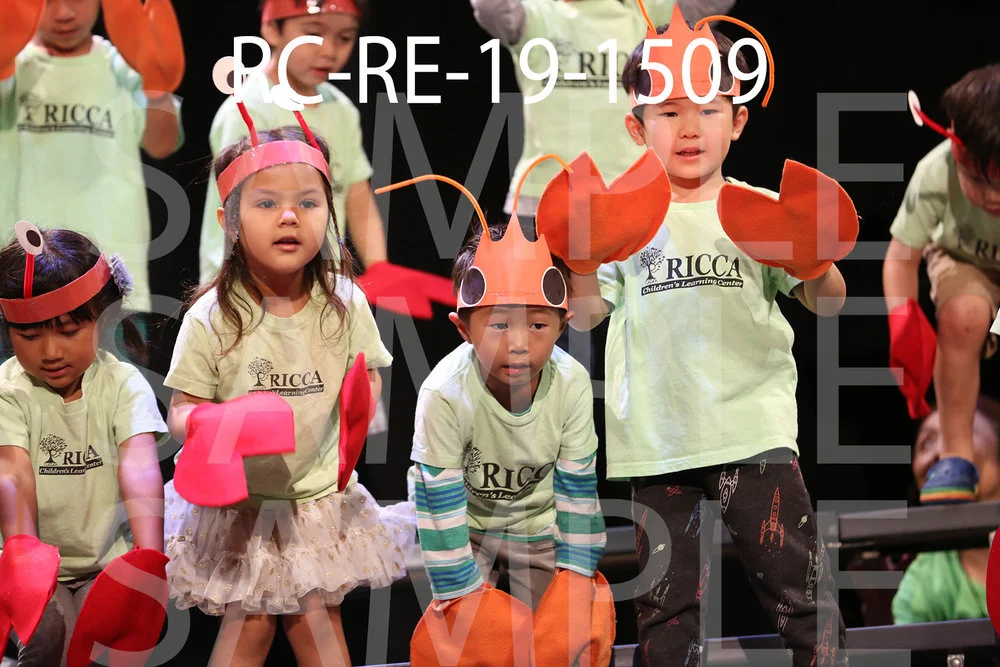 RC-RE-19-1509.jpg