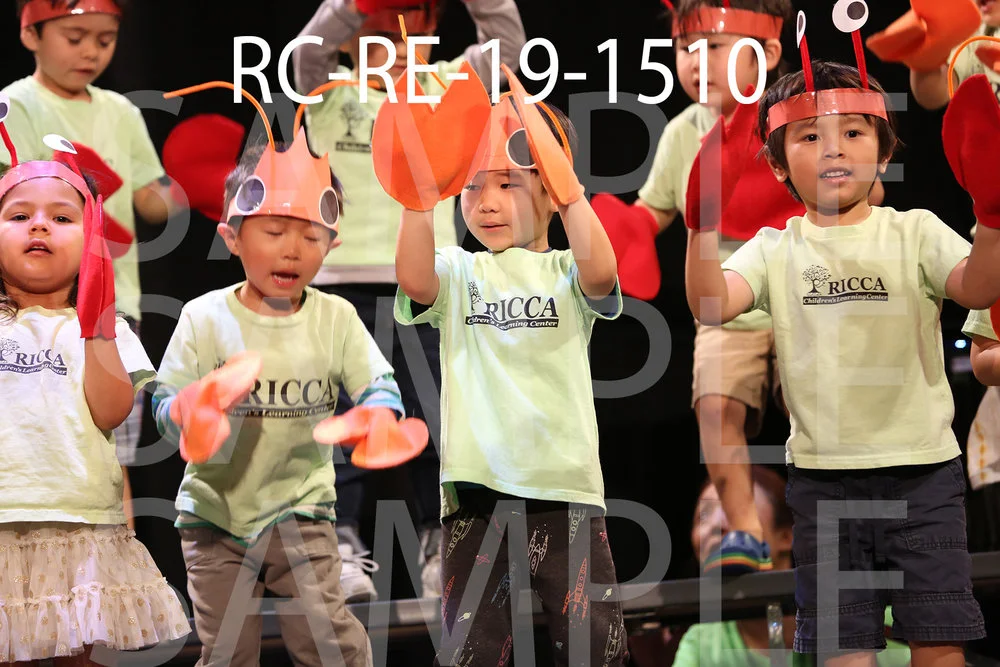RC-RE-19-1510.jpg