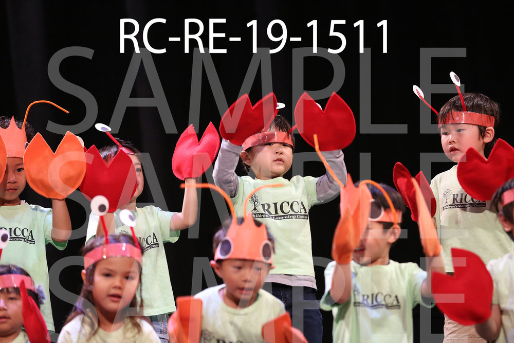 RC-RE-19-1511.jpg