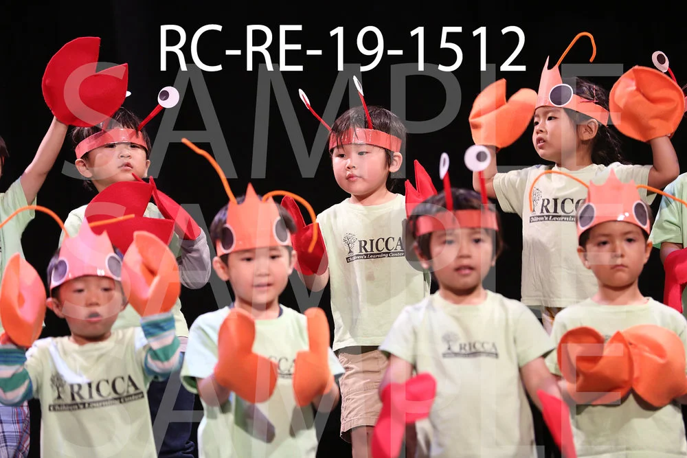RC-RE-19-1512.jpg