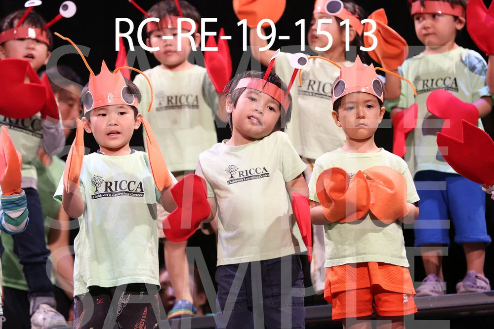 RC-RE-19-1513.jpg