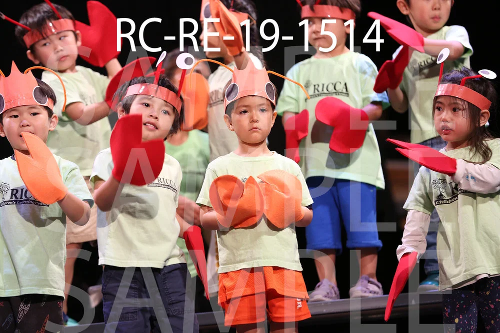RC-RE-19-1514.jpg