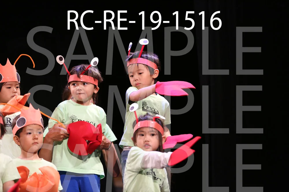 RC-RE-19-1516.jpg