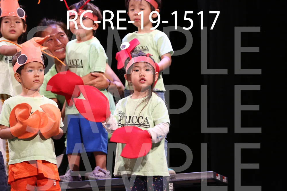 RC-RE-19-1517.jpg