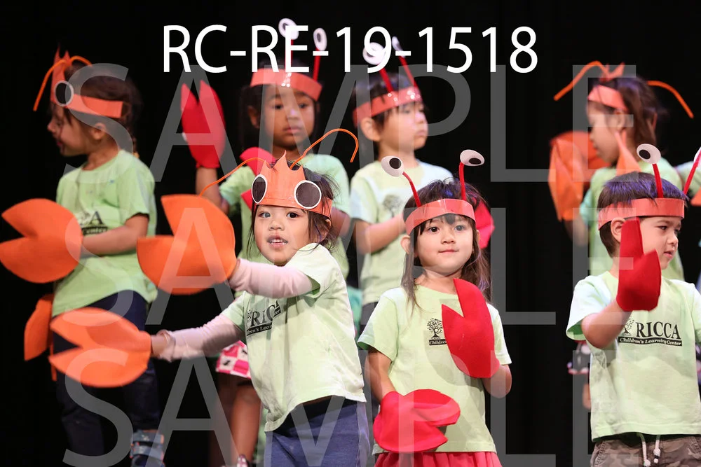 RC-RE-19-1518.jpg