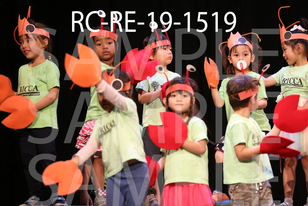 RC-RE-19-1519.jpg