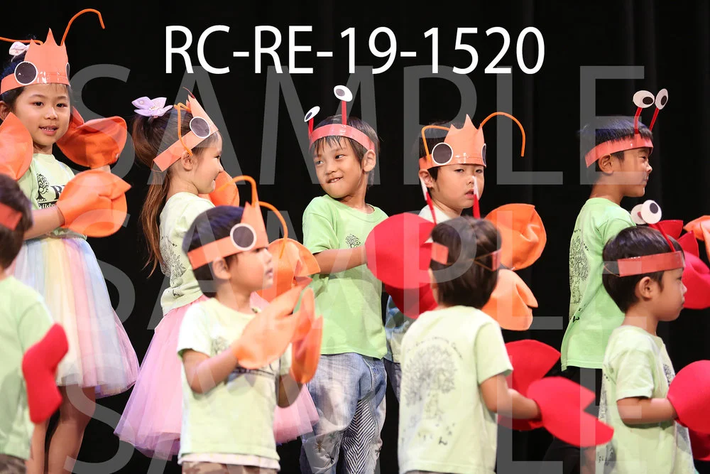 RC-RE-19-1520.jpg