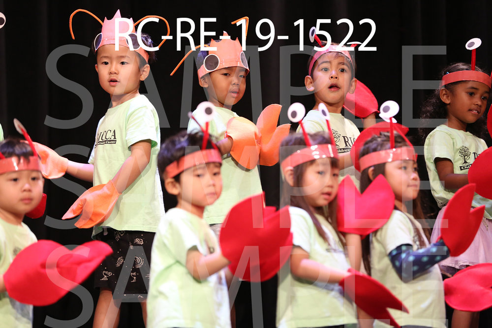 RC-RE-19-1522.jpg