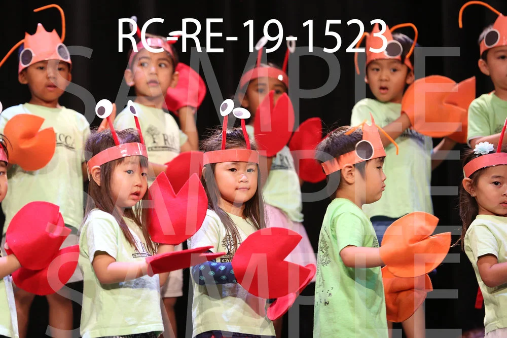 RC-RE-19-1523.jpg