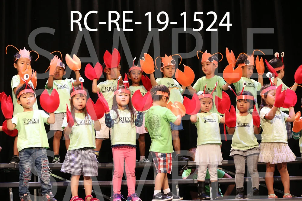 RC-RE-19-1524.jpg