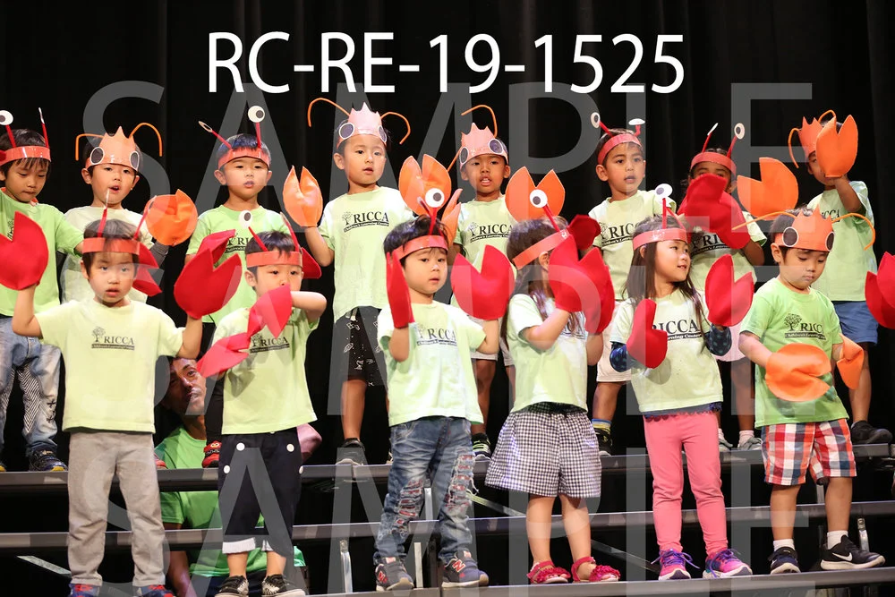RC-RE-19-1525.jpg