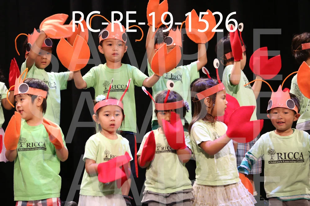 RC-RE-19-1526.jpg