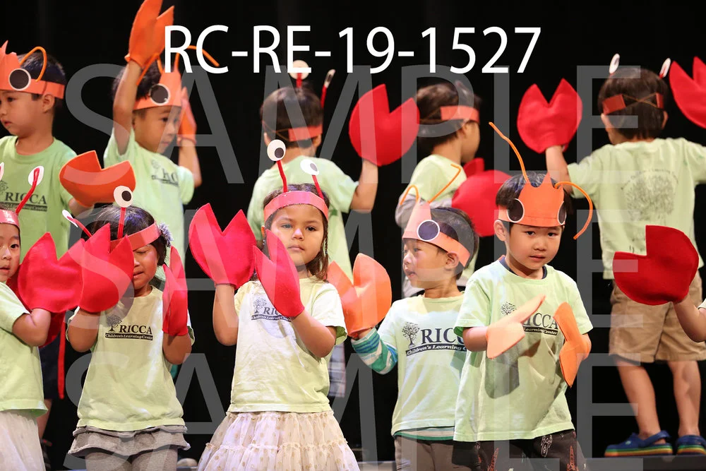 RC-RE-19-1527.jpg