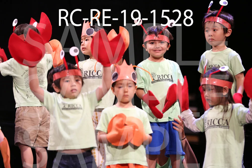 RC-RE-19-1528.jpg