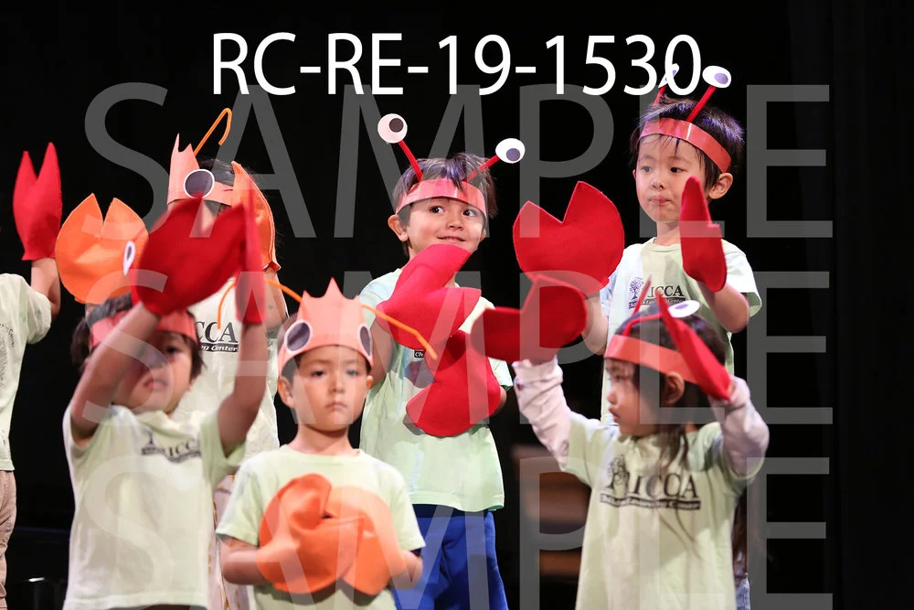 RC-RE-19-1530.jpg