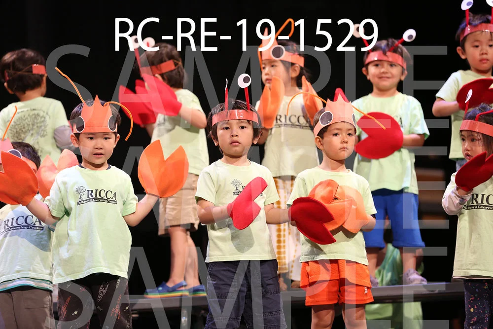 RC-RE-19-1529.jpg