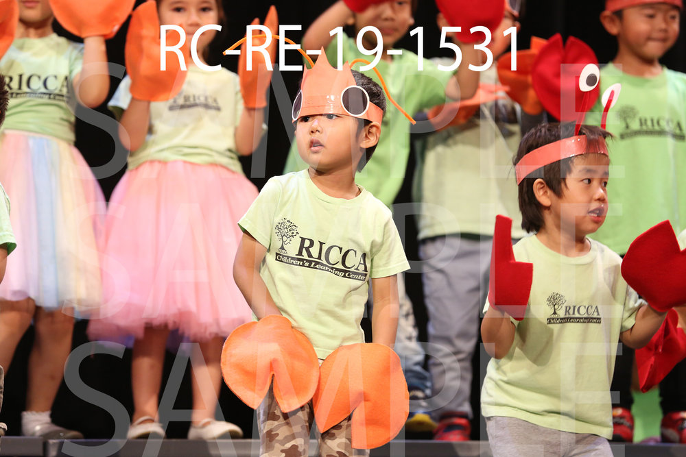 RC-RE-19-1531.jpg