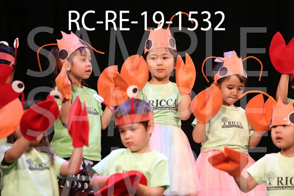RC-RE-19-1532.jpg