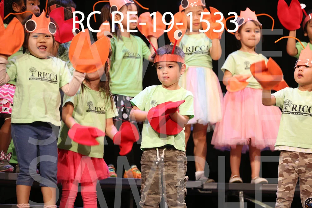 RC-RE-19-1533.jpg