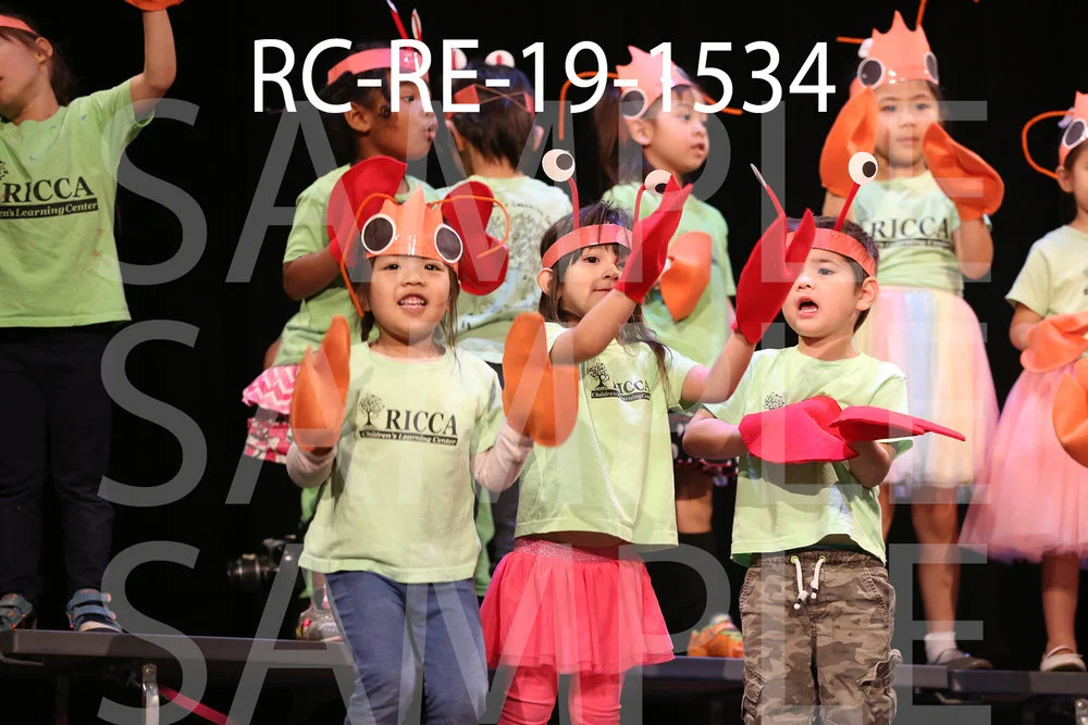RC-RE-19-1534.jpg