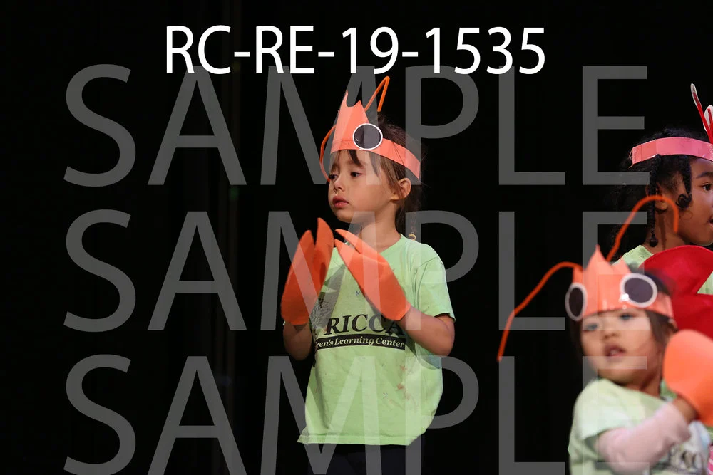 RC-RE-19-1535.jpg