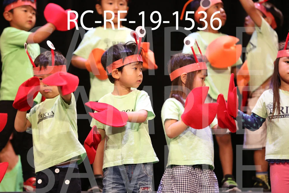 RC-RE-19-1536.jpg