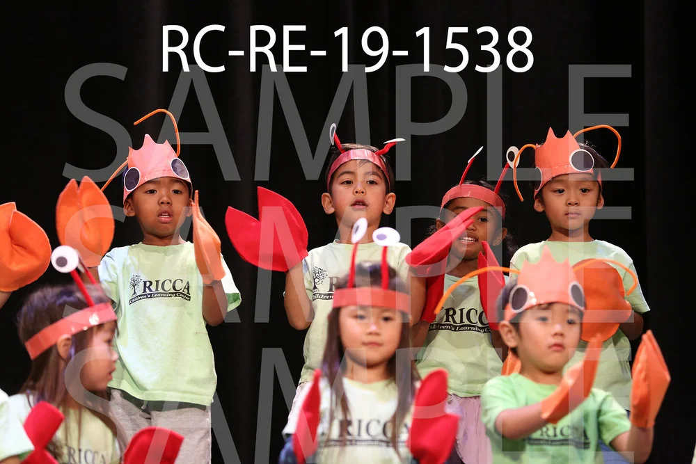 RC-RE-19-1538.jpg