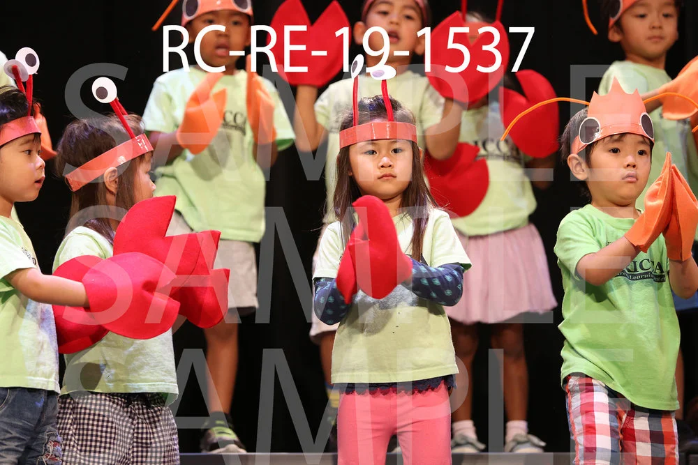 RC-RE-19-1537.jpg