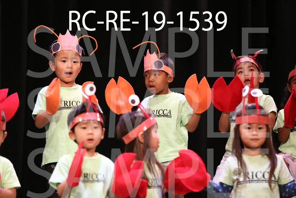 RC-RE-19-1539.jpg