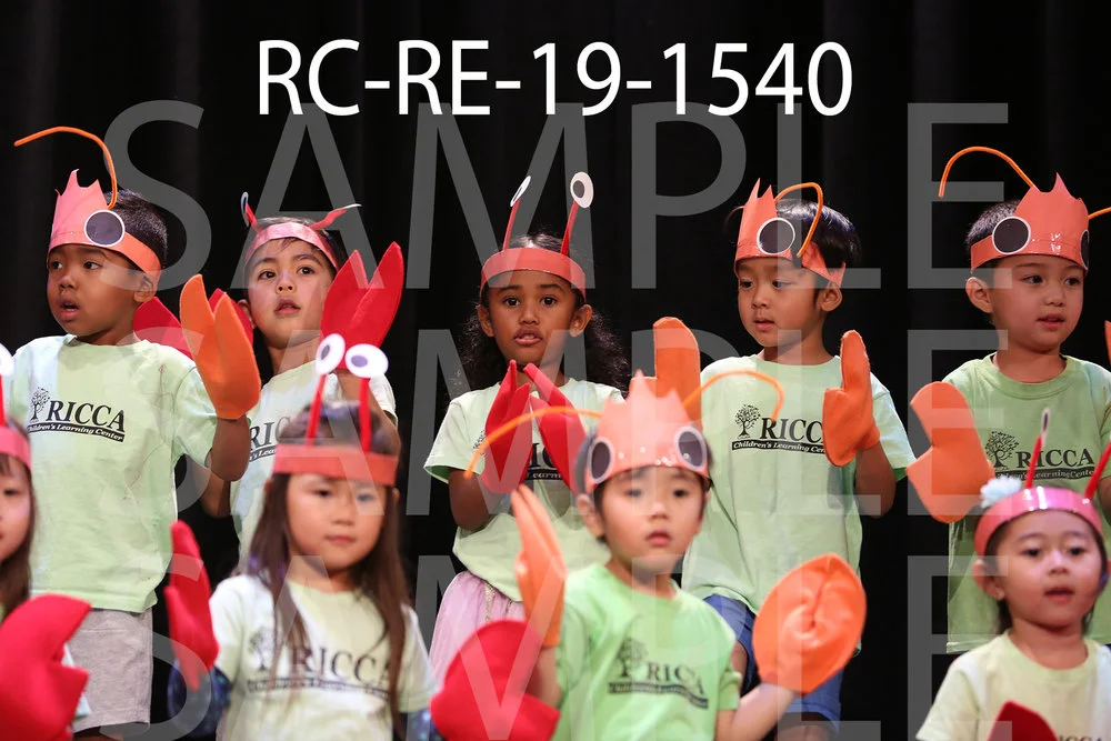 RC-RE-19-1540.jpg