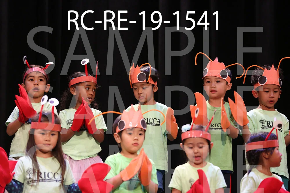 RC-RE-19-1541.jpg