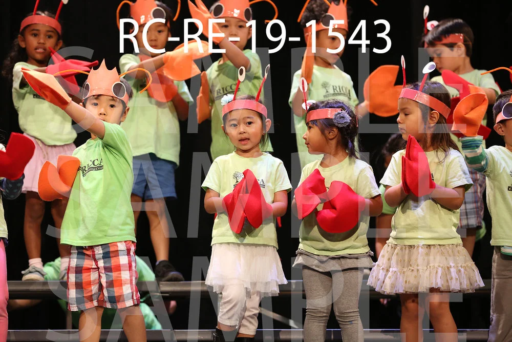 RC-RE-19-1543.jpg