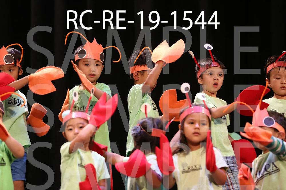 RC-RE-19-1544.jpg