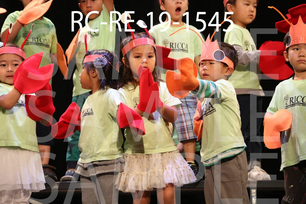 RC-RE-19-1545.jpg