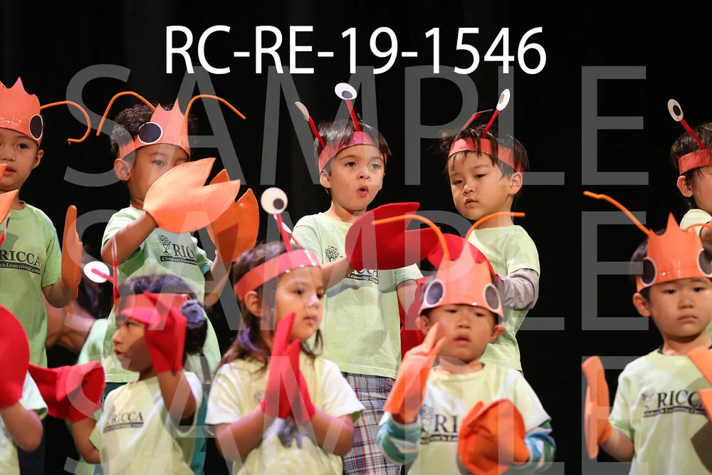 RC-RE-19-1546.jpg