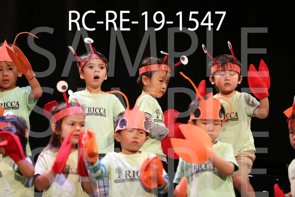 RC-RE-19-1547.jpg