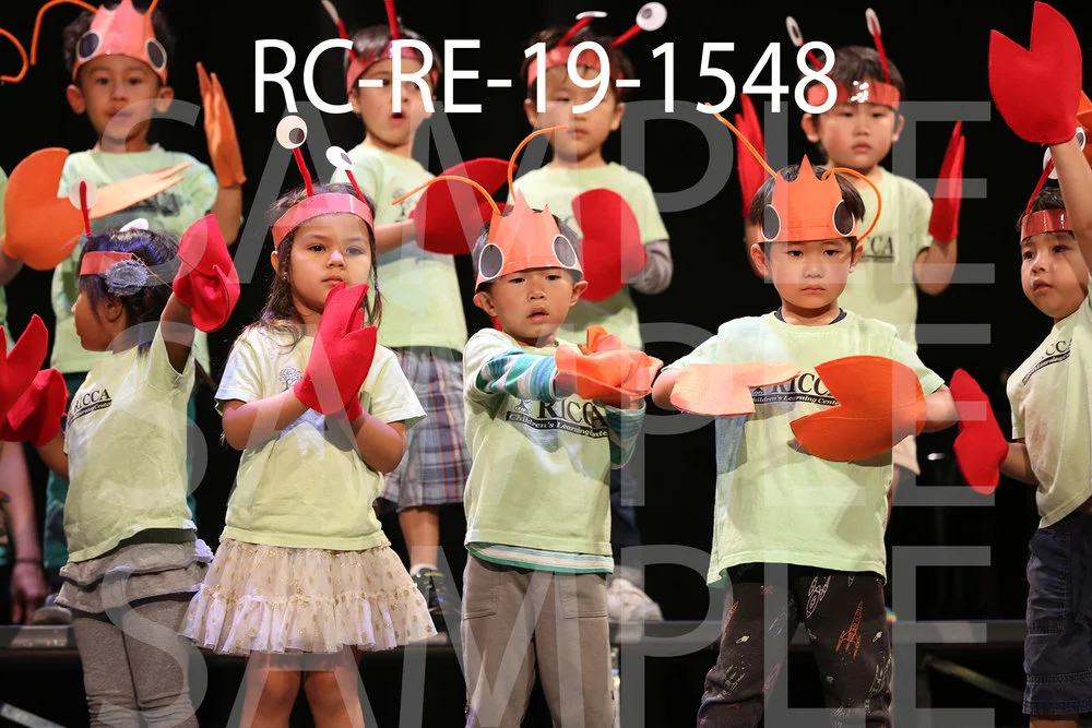 RC-RE-19-1548.jpg
