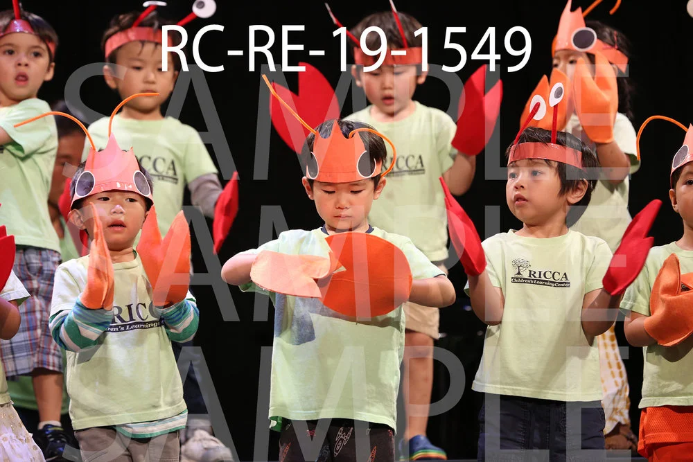 RC-RE-19-1549.jpg