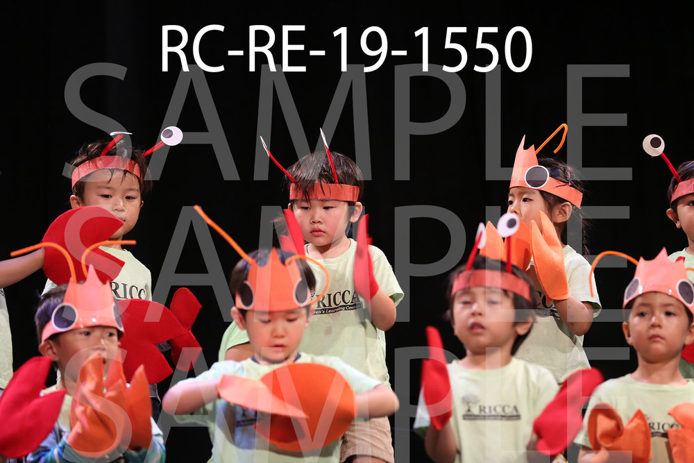 RC-RE-19-1550.jpg