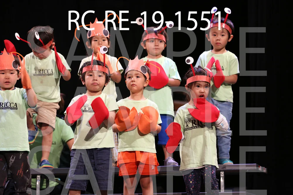 RC-RE-19-1551.jpg
