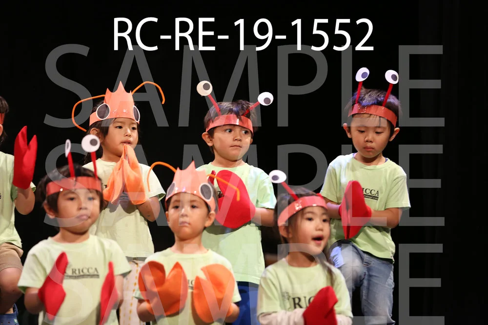 RC-RE-19-1552.jpg