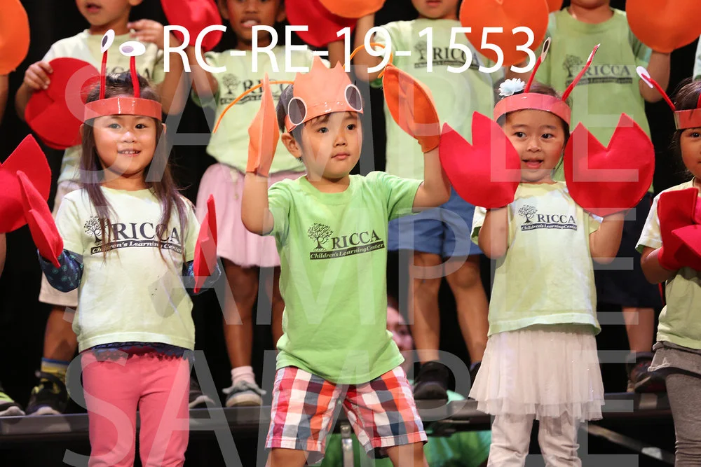 RC-RE-19-1553.jpg