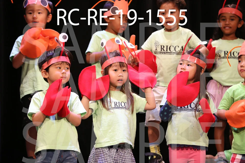 RC-RE-19-1555.jpg